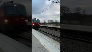 DSB EB med IC1 vogne og tyfon gennem nyborg #dsb #ic1 #trainspotting #vectron #shorts #fyp #railway