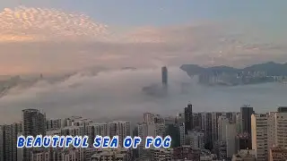 BEAUTIFUL SEA OF FOG #fog #hk #clouds #weather #hamog 