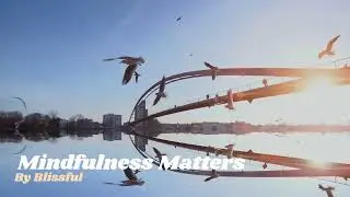 Mindfulness Matters
