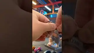 Cute Cats Gym