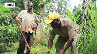4 OKUTENDEKA (Lusoga Version)