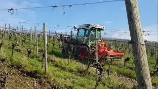 Fendt 207 VA | Kreiselegge | Braun Rollkacke | S&auml;maschine