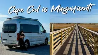 Cape Cod Is Magnificent! Many Wildlife Encounters!