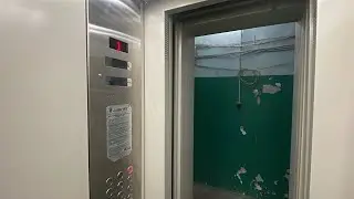 Лифт ЩЛЗ ecomaks ≈2021г.в. | Папина 17 п1 | 29.01.2026