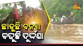 Odisha Flood: Water Logging In Bhograi Block Of Balesore | Nandighosha TV