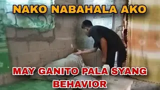 ⭕ SA PAG-AALAGA KAY JAN2X| BYAHENG KING| JOEY THE GREAT| KINDRED TV 