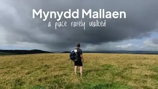 Mynydd Mallaen, walking a lonely Welsh mountain
