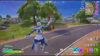 Fortnite Victory With The Bro !!!