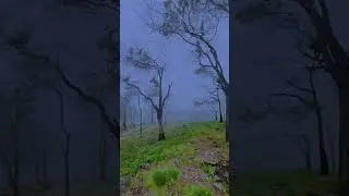 Babaragala pathana 💚🌱                #nature #srilanka 🇱🇰