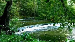 Calm Breathing for Kids 🌿 Gentle Breathing Exercise for Relaxation