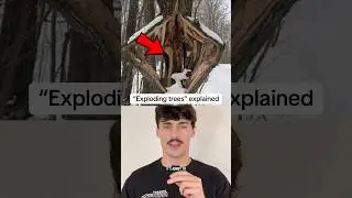 Exploding trees explained