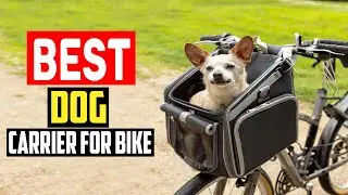 ✅Top 5 Best Dog Carrier For Bike in 2025