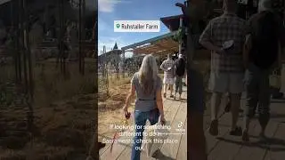 Things to do in Sacramento? Ruhstaller beer farm.