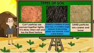 SOIL COMPACTION AND CAUSES