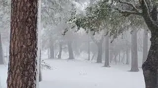 Blizzard at Adams Home in 2023