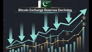 Less Bitcoin on Exchanges = Next Big Pump? (Truth Explained) | بٹ کوائن ذخائر: تیزی یا خطرہ؟
