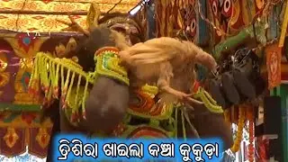 ଖର ଦୃଷଣ ତ୍ରିସିରା ରାମ ଲକ୍ଷ୍ମଣ ଙ୍କ ସହିତ ଯୁଦ୍ଧ / Adheibaragan Ramayan / Mohan Patra /Odia Ramayan Natak