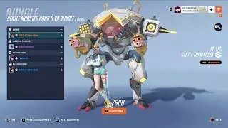 Overwatch:  Gentle Tokki Aqua D.Va Skin🐰
