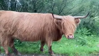 Druim Fada