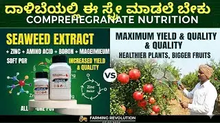 Pomegranate:09 ದಾಳಿಂಬೆಯಲ್ಲಿ Uracil Pure ಬಗ್ಗೆ ಸಂಪೂರ್ಣ ಮಾಹಿತಿ 