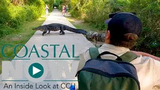 Coastal Now - Wildlife Filmmaker: Josh Bruni