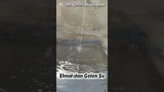 2025 Ağustos Yayla Gezimizden 