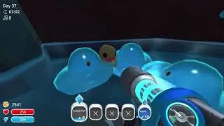 Everthing You Need To Know about Puddle slimes - Slime Rancher