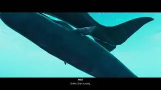 《Beyond Blue》 Let's Dive-In & Scan the Oceanworld || Part - 1 [#2]