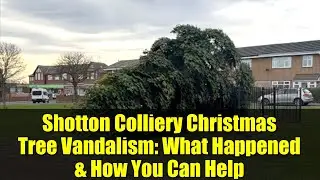Shotton Colliery Christmas Tree Vandalism: What Happened & How You Can Help