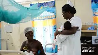 Ghana : l’Anopheles stephensi, le nouveau moustique vecteur du paludisme identifié