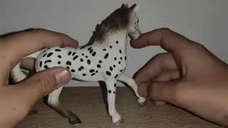 Moje kolekcja koni schleich cz.1💞 (Opis)
