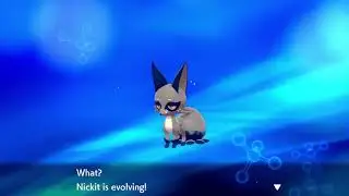 Nickit and Thievul Shiny Pokemon Sword