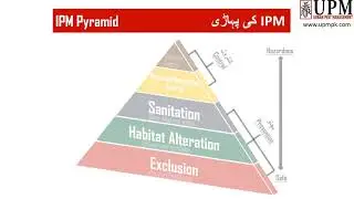 IPM Pyramid