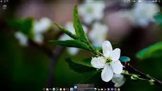 Обзор сборки Arch Linux c двумя рабочими окружениями XFCE и Deepin