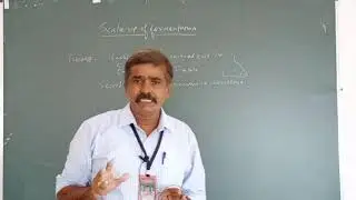 Fermentation Scale up