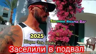 Номер в Подвале Solymar Naama Bay JAZ HOTEL GROUP Ужин анимация  Шарм Эль Шейх продлить номер $ цены