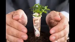 Small Business Looking for Big Growth?