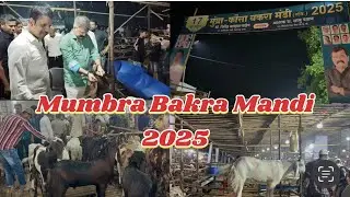 Mumbra 🐐Bakra 🐐Mandi 2025 ||Mittal Ground|| MLA Jitendra Awhad Saheb||Aaye Bakra Mandi mein||