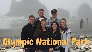 Olympic National Park - Ruby Beach, Crescent Lake, Marymere Falls, and Hurricane Ridge