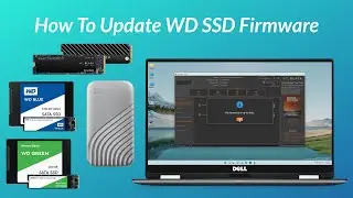 How To Update WD SSD Firmware (SATA, M.2, NVMe, External and Thunderbolt)