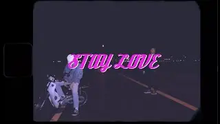 STAYLOVE - RexP ft. DonTony (Official Video)