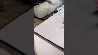 Famous Lassi of Amritsar | Makhan Malai wali | Indian Street Food