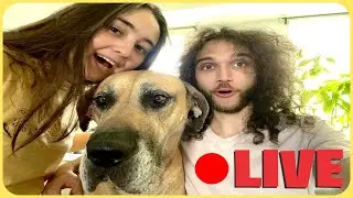 TWO LIVES IN ONE SCREEN! | Content Streak: 1399 | Spread the PEACE AND LOVE