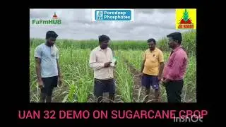 UAN 32 ||NITRONIC 32 ||  Demo on Sugarcane crop @JaiKisaan @JaiKisaanOfficial @JaikisaanMangalaHUBLI