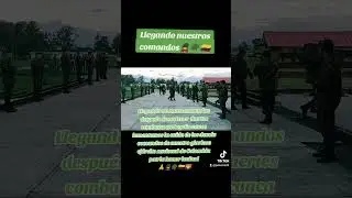 #patria #honor #lealtad #viral #sigueme #ejercol #comandos