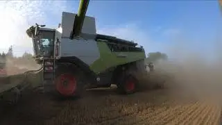 New Claas Lexion 6800 + Convio 930 in Action