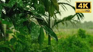 ASMR Heavy Rain on Leaves 🌧️ Deep Nature Rain Sounds for Sleep & Focus | Calm Forest Ambience