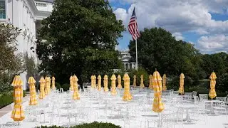 President Trump hosting top tech CEOs at White House dinner