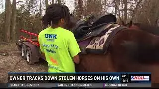 Three alleged horse thieves behind bars