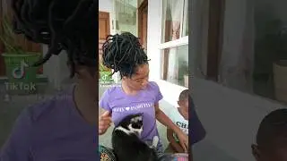 Got a bunch of pet supplies from Shein. Video on all essentials new cat owners must have drops soon.